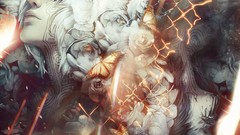 Flowers close-up faces butterfly wings