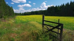 Flowers clouds Green meadows protection gate