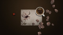 Flowers coffee brown beverages flower petals fon ladybirds 