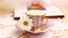 Flowers coffee food brown drinking beans Coffee and milk