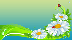 Flowers colored flower