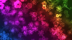 Flowers colors bokeh