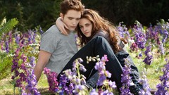 Flowers couple twilight Kristen Stewart robert pattinson edward 