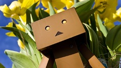 Flowers danboard