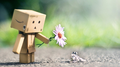 Flowers danboard