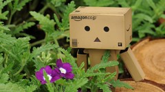 Flowers danboard Kei