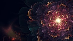 Flowers dark abstract geometry crystal flowers