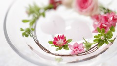 Flowers design Wonderland colors Beaches