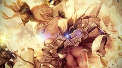 Flowers dress armor Swords blondes lingerie saber lily 
