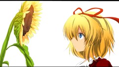 Flowers dress Ribbons blue eyes touhou Medicine Melancholy 