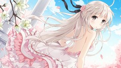 Flowers dress white hair long hair gray eyes anime girls yosuga 