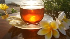 Flowers drinks lemons sunlight plumeria