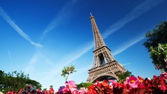 Flowers Eiffel Tower Paris France tower cities cityscapes 