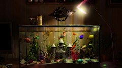 Flowers fantasy room fantasy art