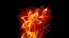 Flowers fire