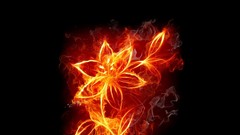 Flowers fire digital art