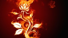 Flowers fire fire flower