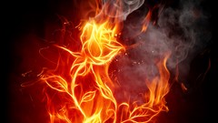 Flowers fire fire flower