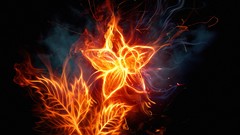 Flowers fire graphics fire flower vectors