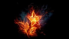 Flowers fire light black background fire flower digital art