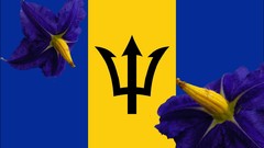 Flowers Flags Barbados countries