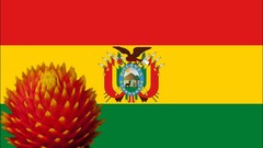 Flowers Flags bolivia countries