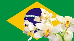 Flowers Flags Brazil countries brasilia