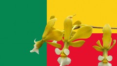 Flowers Flags countries Benin