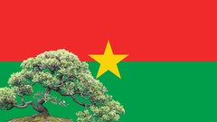 Flowers Flags countries Burkina Faso
