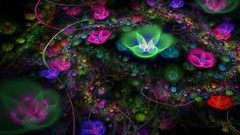 Flowers flower petals