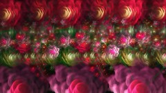 Flowers flower petals