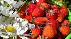 Flowers food Berries strawberries