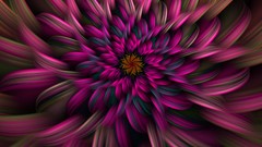 Flowers Fractals abstract