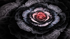 Flowers Fractals abstract