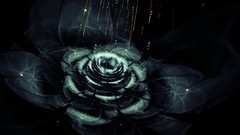 Flowers Fractals abstract black background fractal Fractalius
