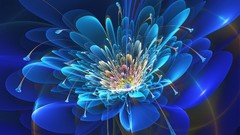 Flowers Fractals abstract fractal
