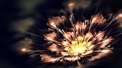 Flowers Fractals digital art