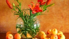 Flowers fruits apricots