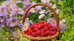 Flowers fruits raspberries baskets