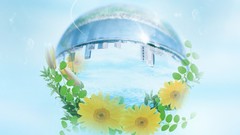 Flowers Future cities