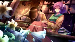 Flowers Games night magic moon Books gramophone Ribbons sitting 