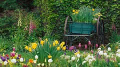 Flowers Garden California Los Angeles