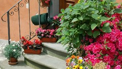 Flowers Garden doors stairways