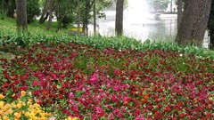 Flowers Garden Istanbul lakes yıldız parkı