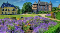 Flowers germany castle Castles cityscapes