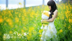 Flowers glass woman China asians models teddy bears