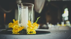 Flowers glass yellow flowers