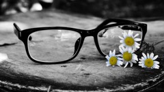 Flowers glasses selective coloring