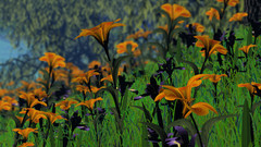 Flowers graphic field