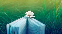 Flowers grass abstract Books blurred awesomeness